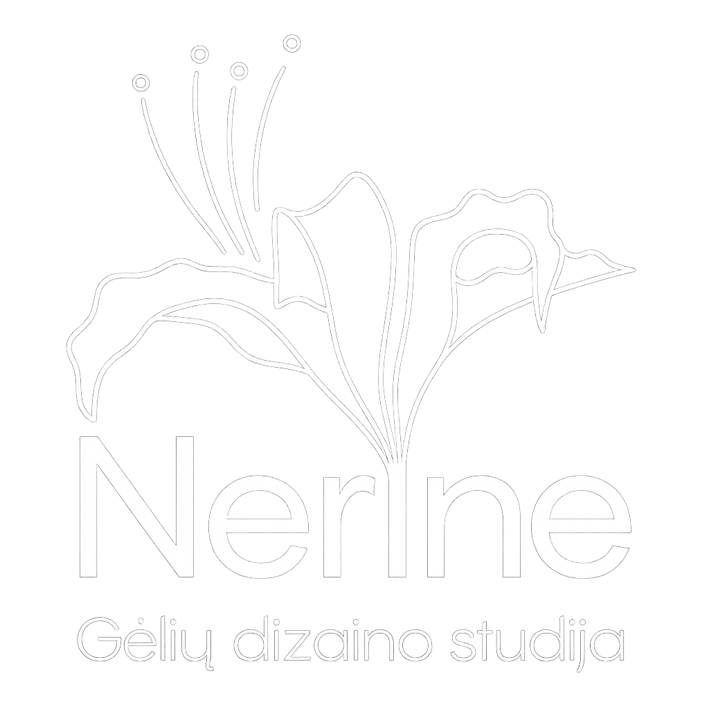 studijanerine.lt